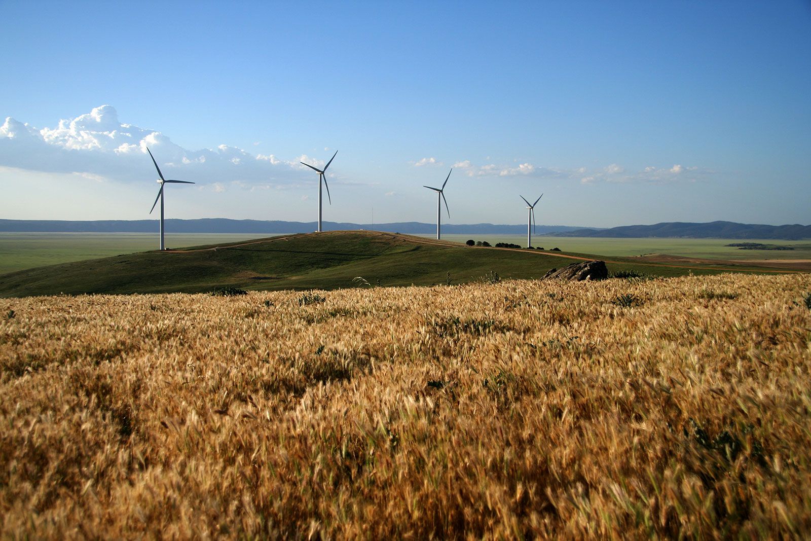 Woodlawn Wind Farm