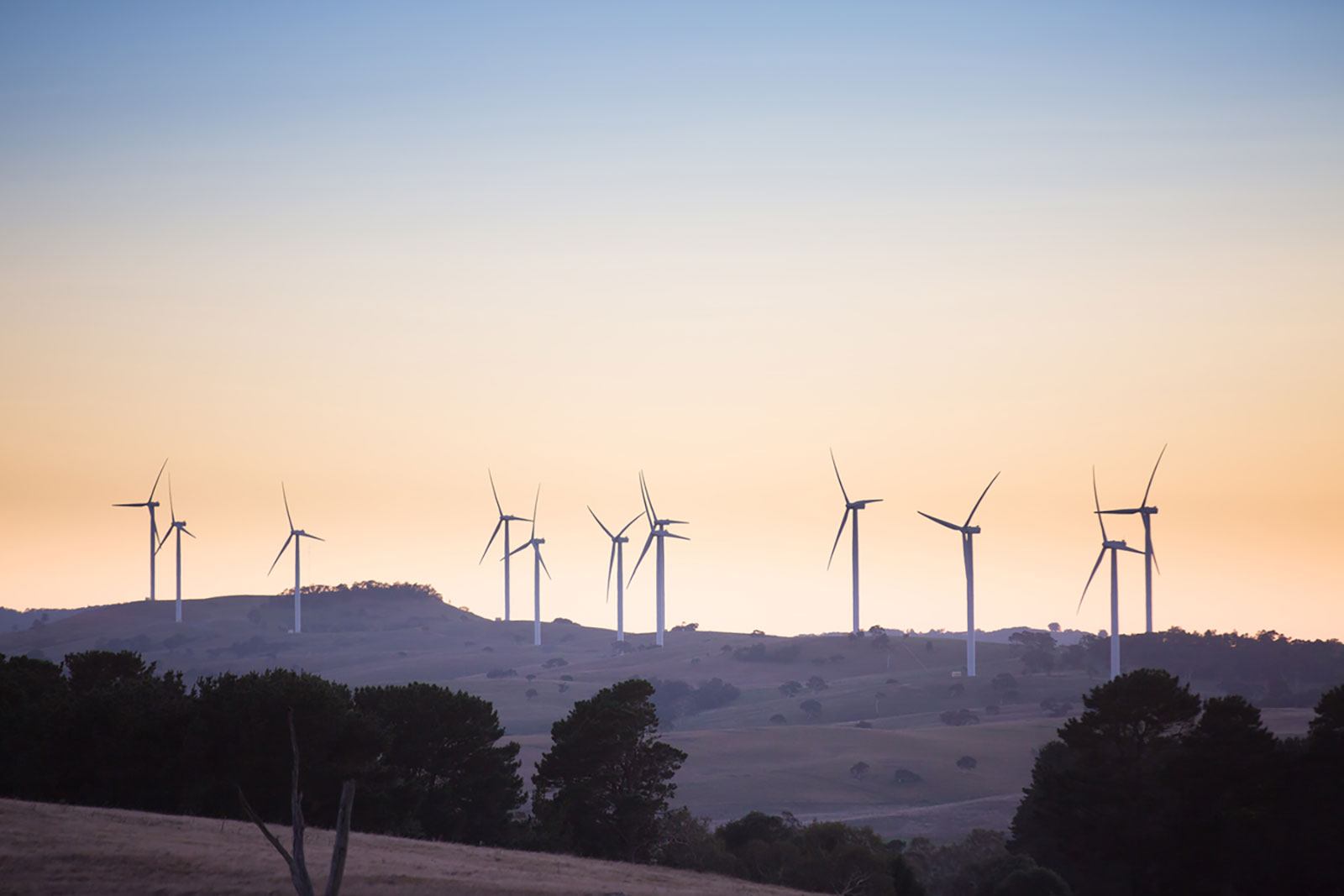 Capital Wind Farm
