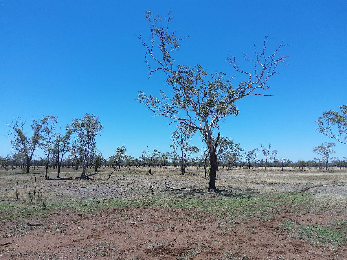 Mount James Wind Farm