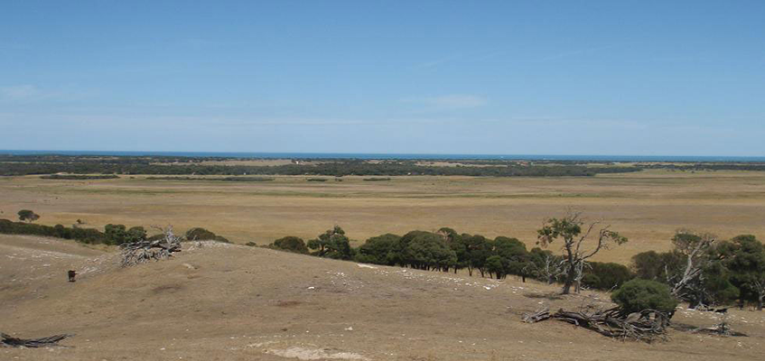 Woakwine Wind Farm