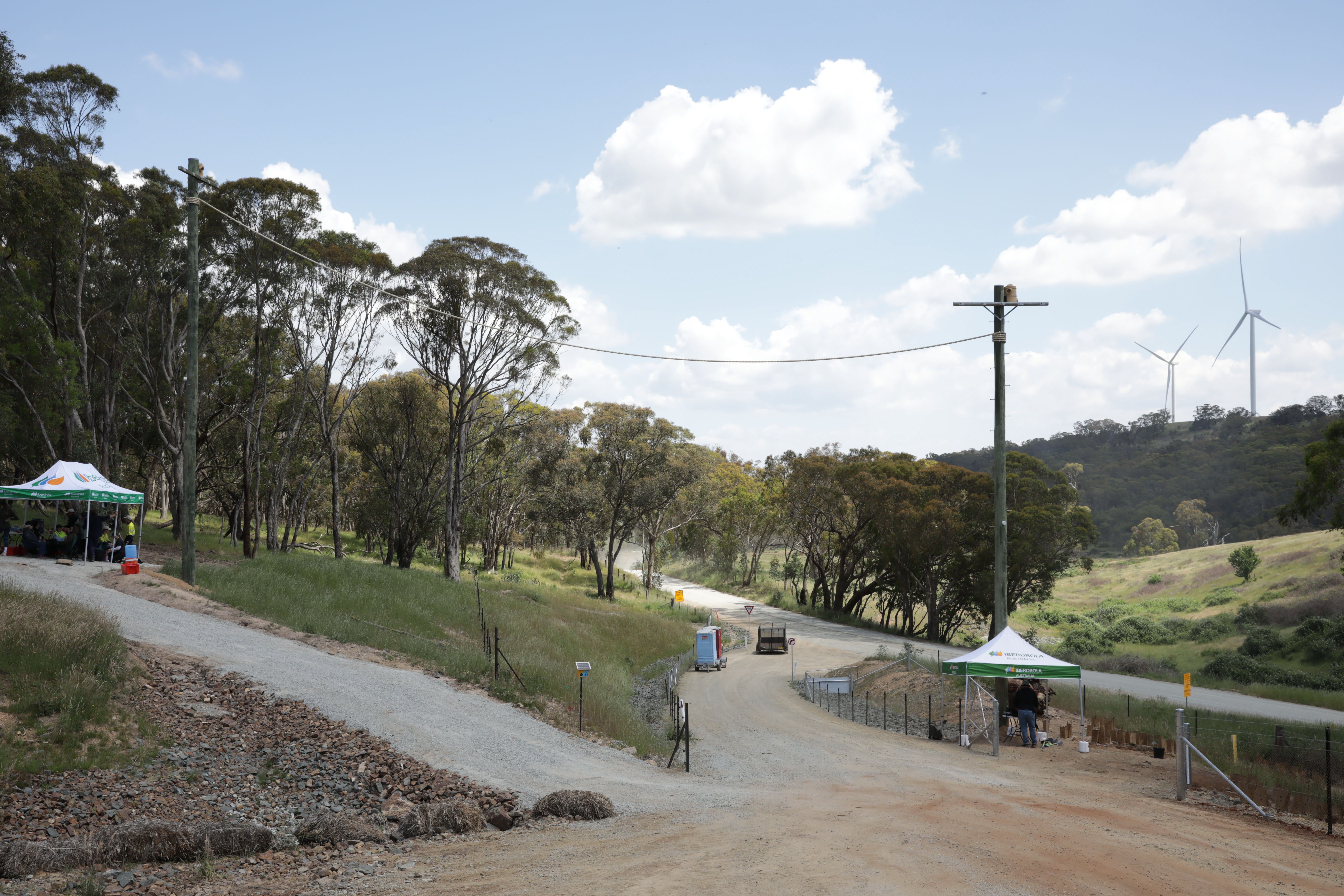 Squirrel Glider Habitat Improvement Project