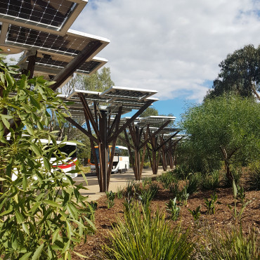 Solar trees in tune with nature